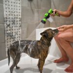 ShowerMain_1080x